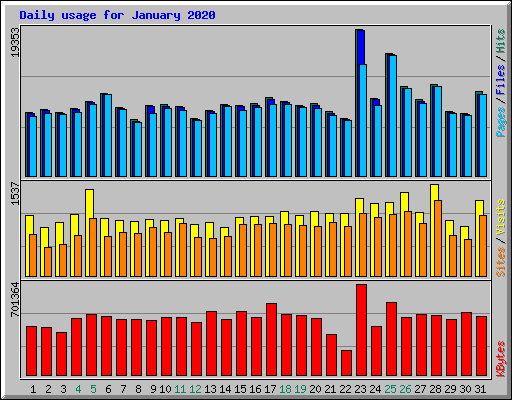 Daily usage for January 2020