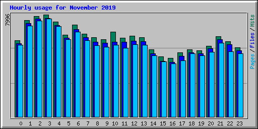 Hourly usage for November 2019