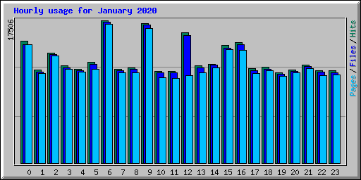 Hourly usage for January 2020